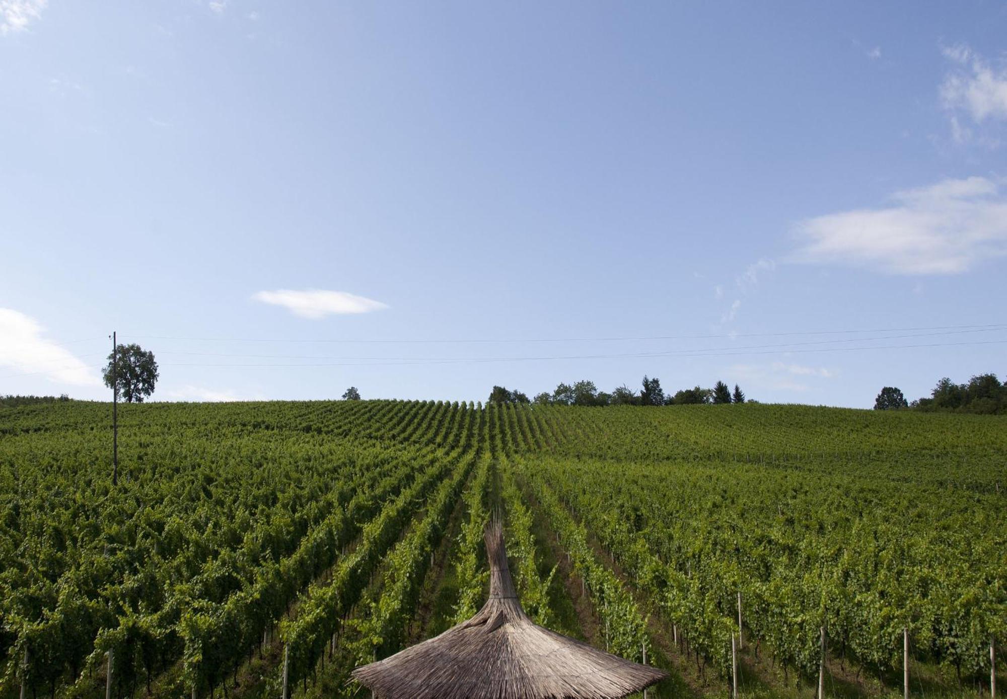 Stupnicki Dvori Winery Hotel Stupnik Brodski Exterior foto