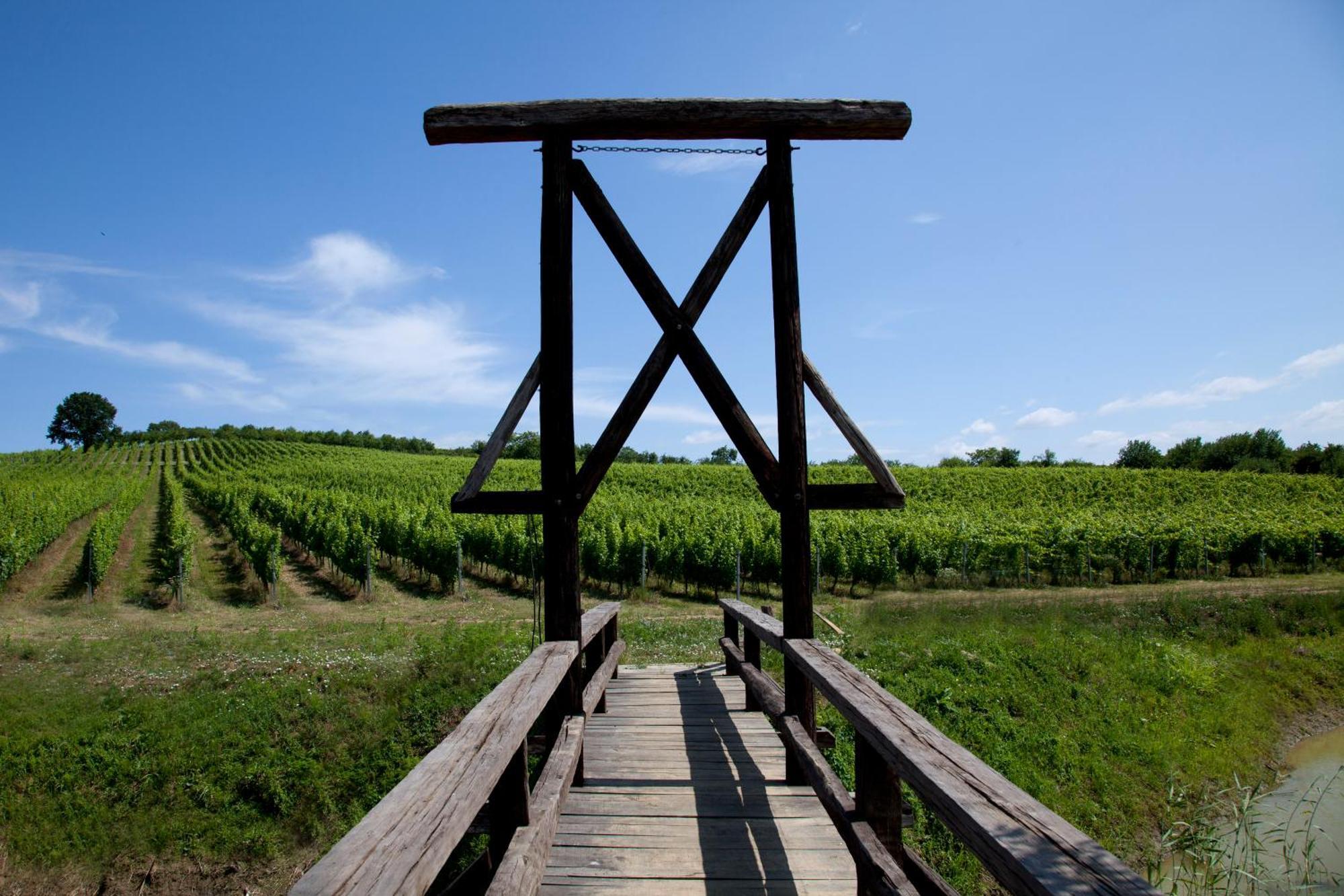 Stupnicki Dvori Winery Hotel Stupnik Brodski Exterior foto